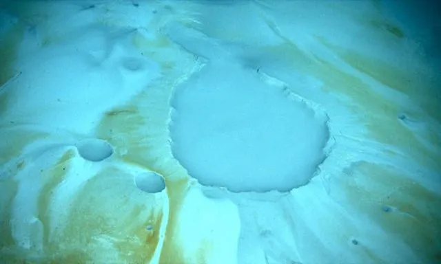 Lophelia II 2010 Expedition, NOAA-OER/BOEMRE on wikimedia