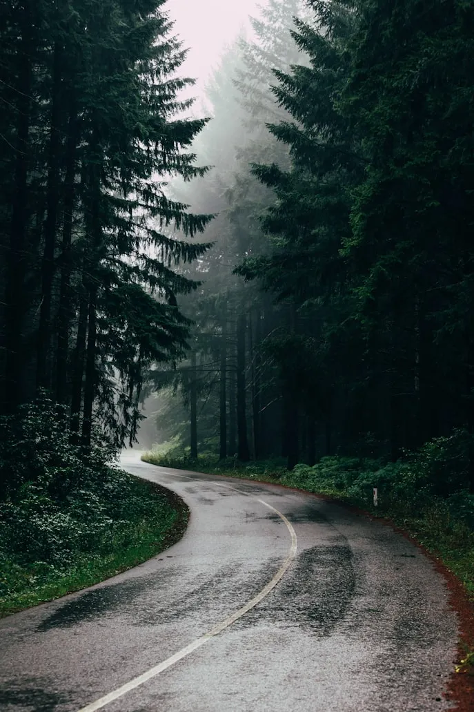 Filip Zrnzević from Unsplash