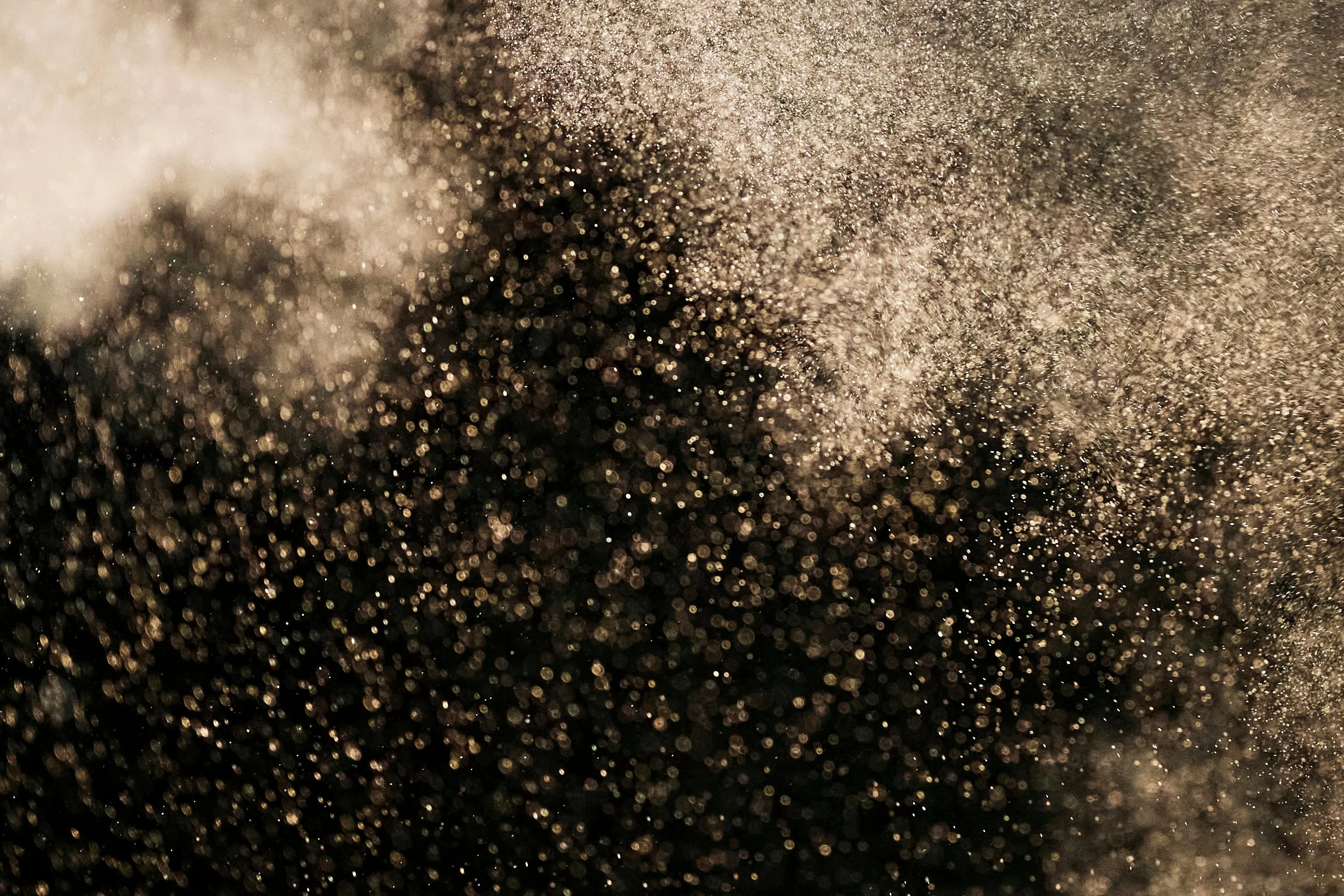 cottonbro studio on pexels