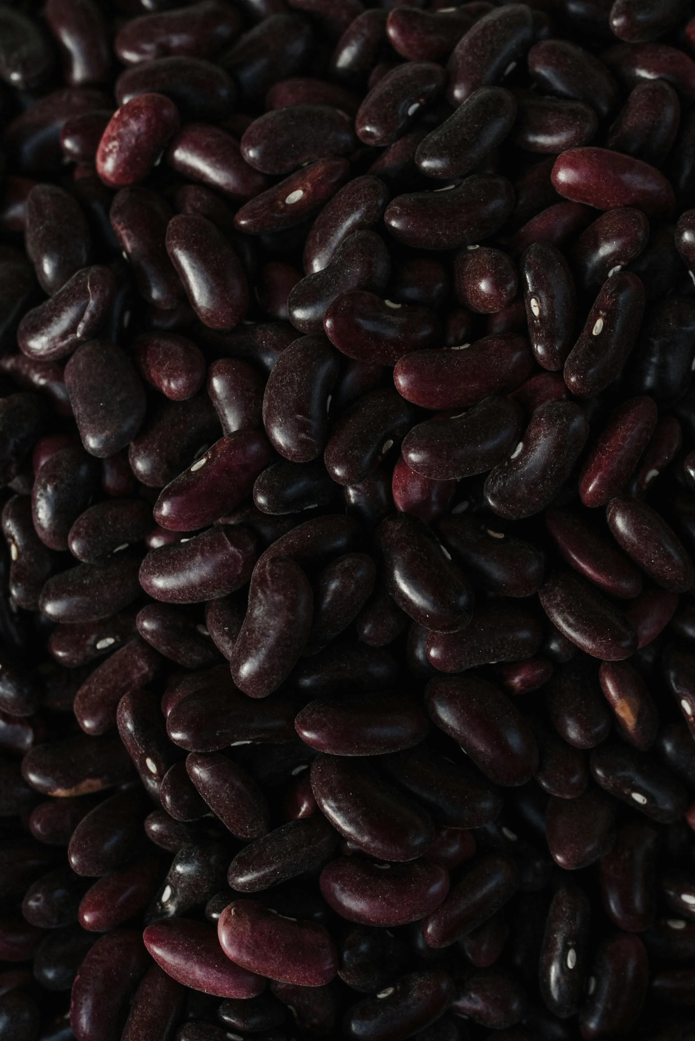 Arina Krasnikova on pexels