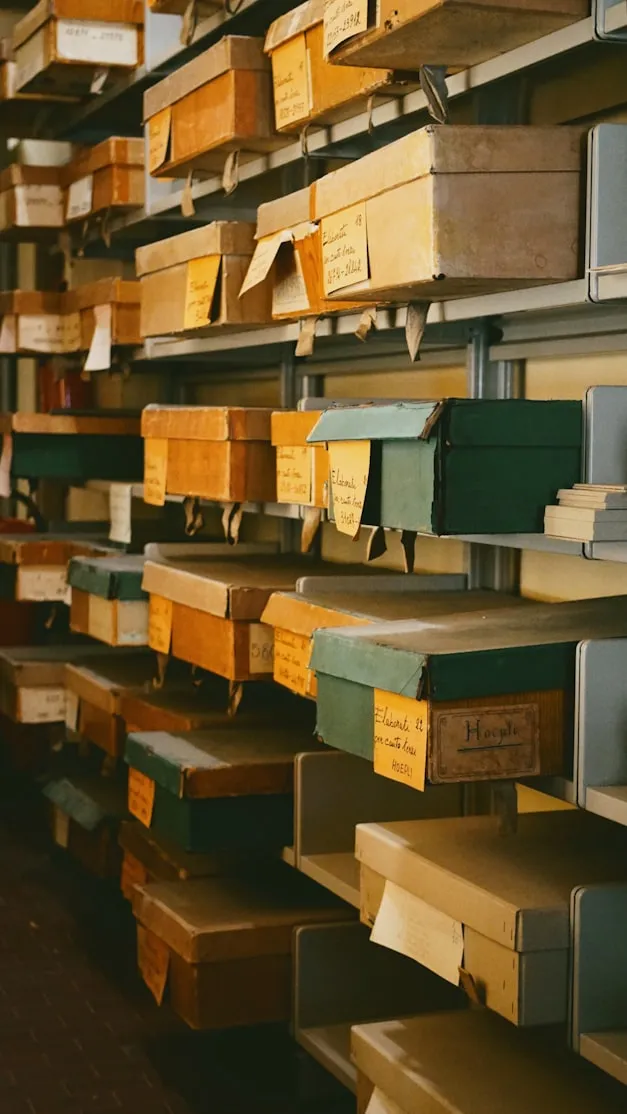 T. Selin Erkan on Unsplash