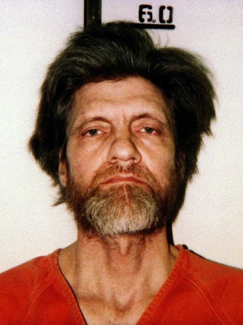 Image from Wikipedia 