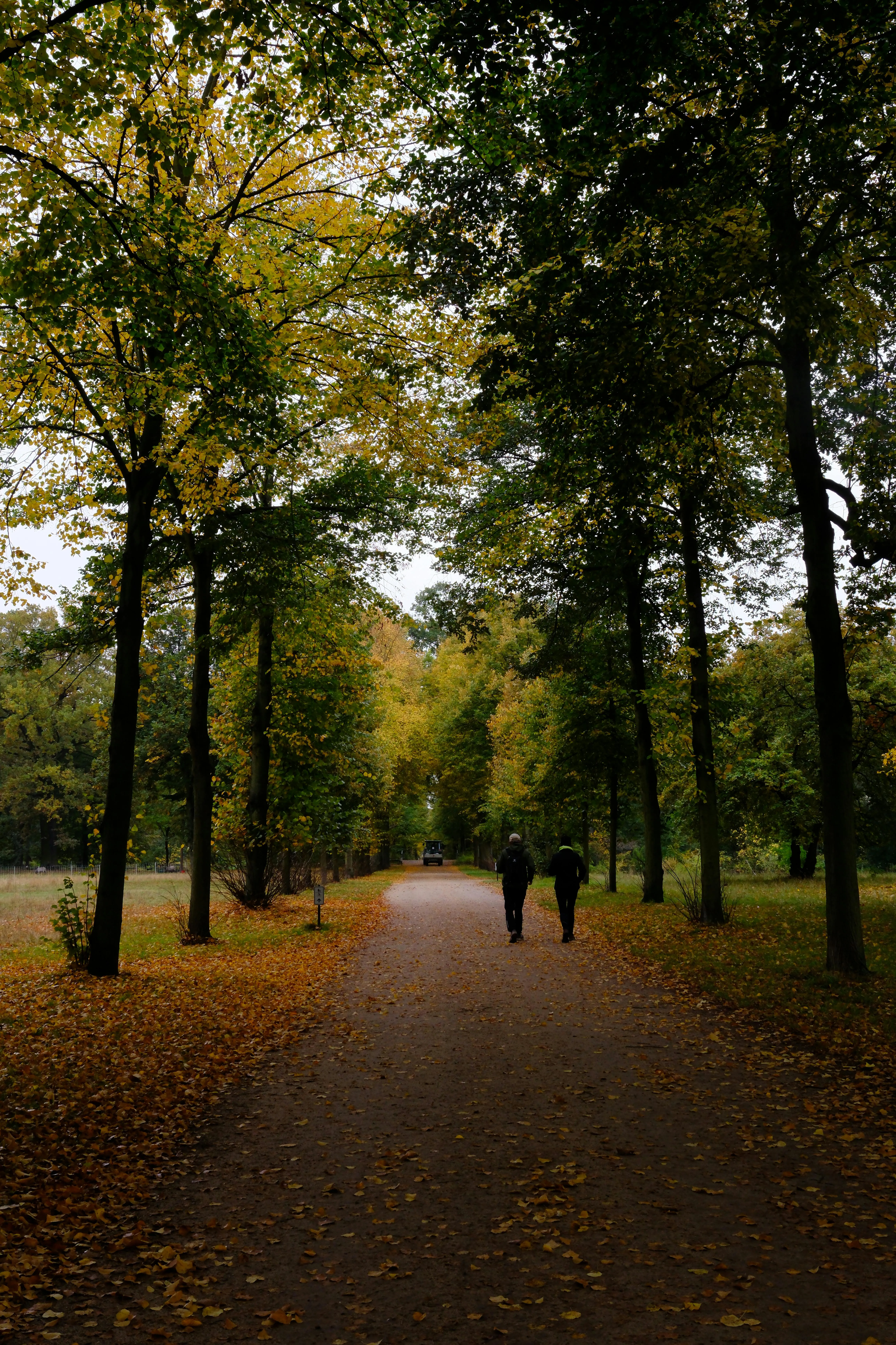 Oğuzhan Aşcıoğlu on Pexels