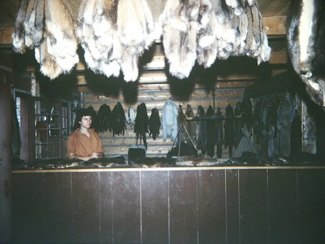 Gary Todd from Xinzheng, China on Wikimedia Commons