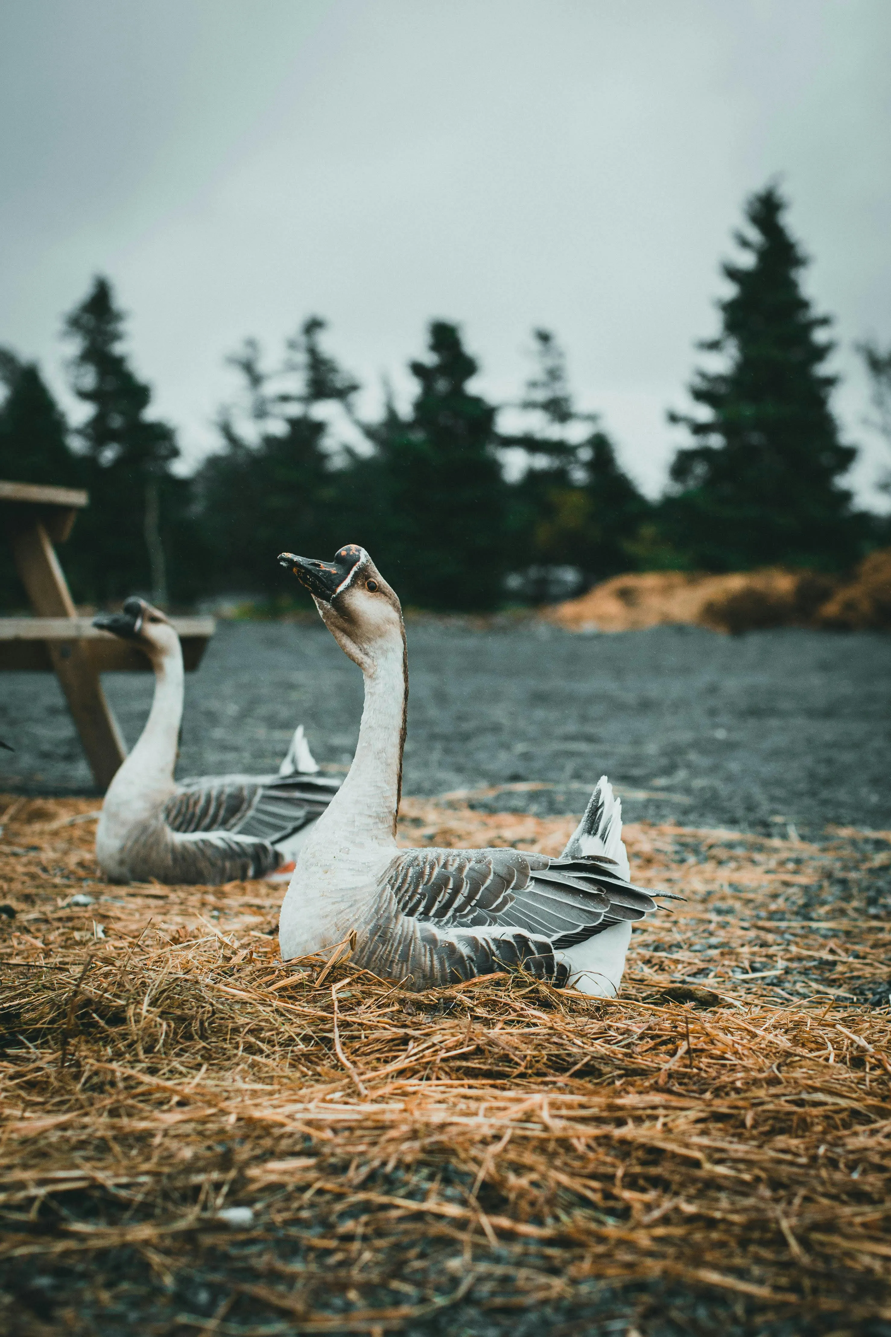 Jonathan Cooper on pexels