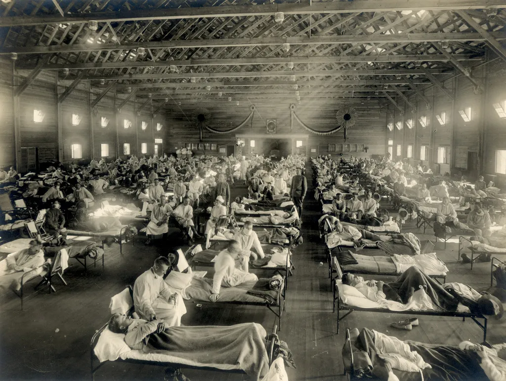 medicalmuseum on Wikimedia Commons