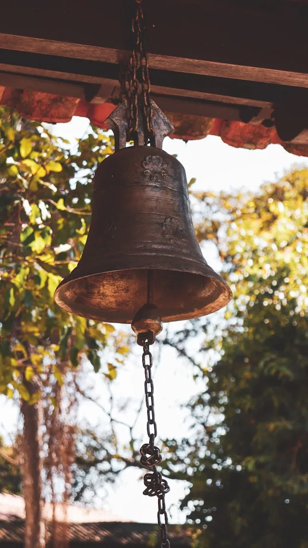 Luis Felipe Lins from Unsplash