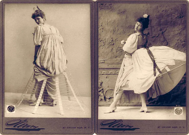 Napoleon Sarony  on wikimedia commons 