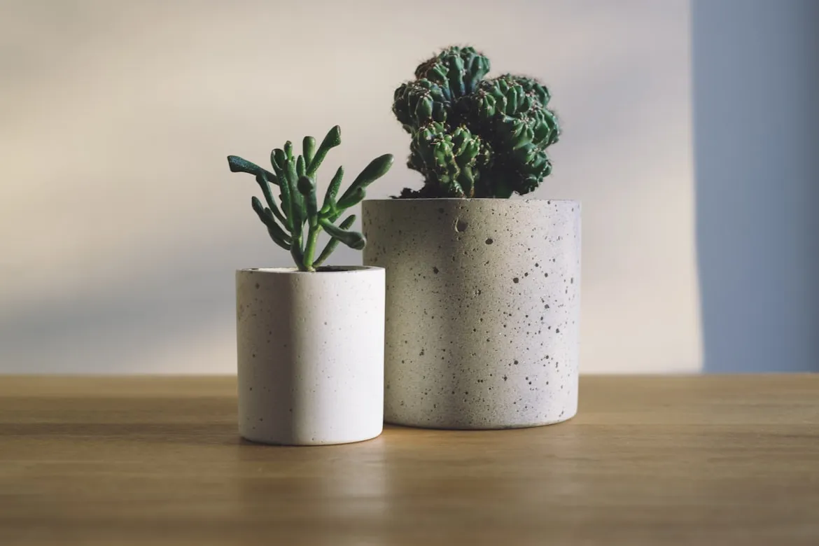12 Plant Behaviors Triggered by Seasonal Shifts