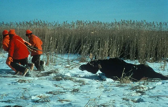U.S. Fish and Wildlife Service on wikimedia