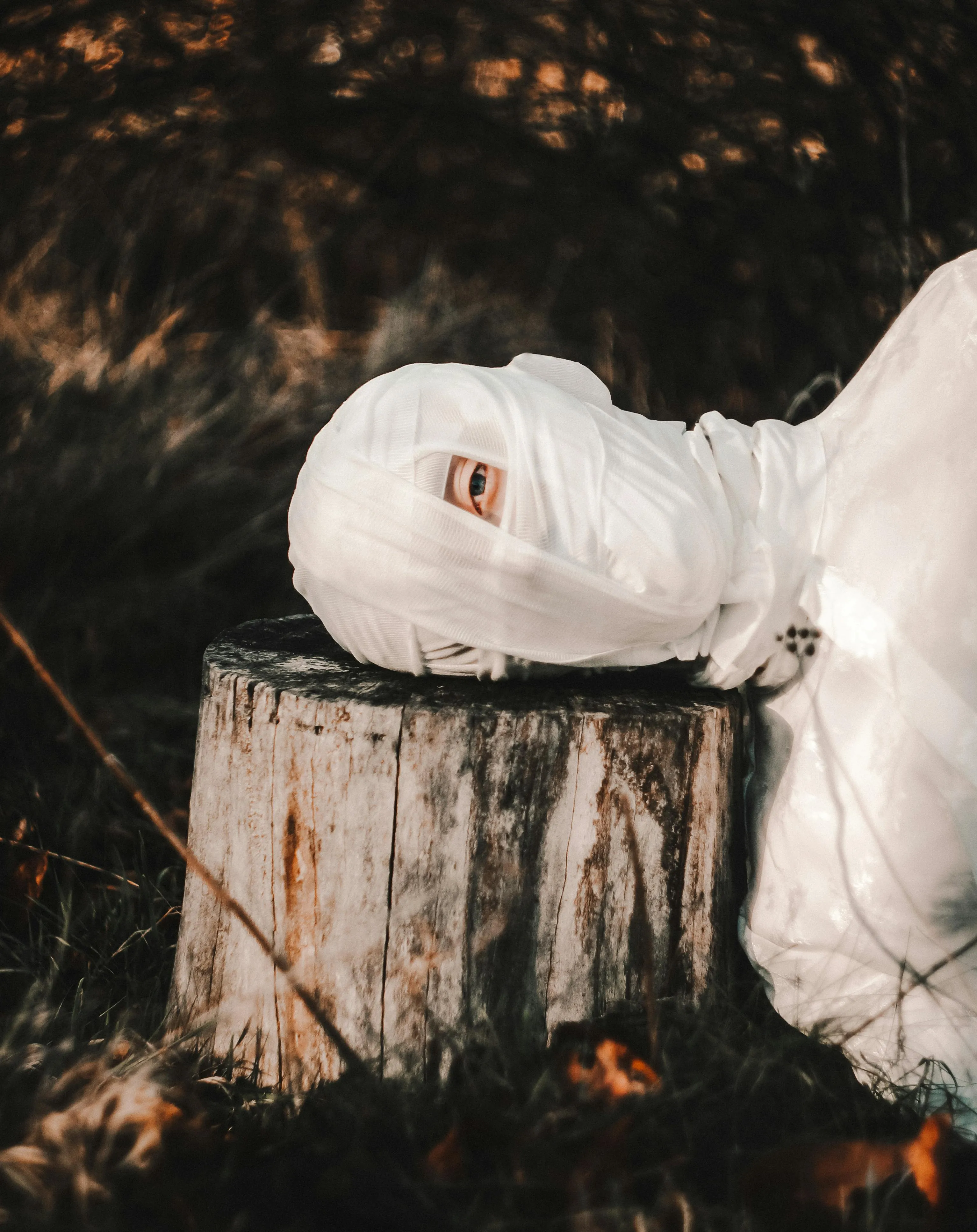  Wojtek Pacześ on Pexels