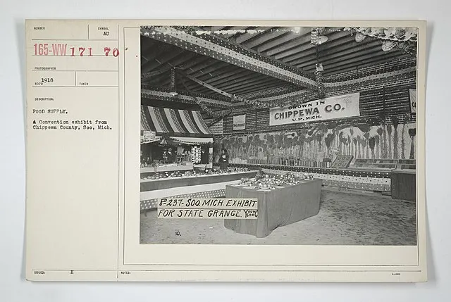 Wikimedia Commons