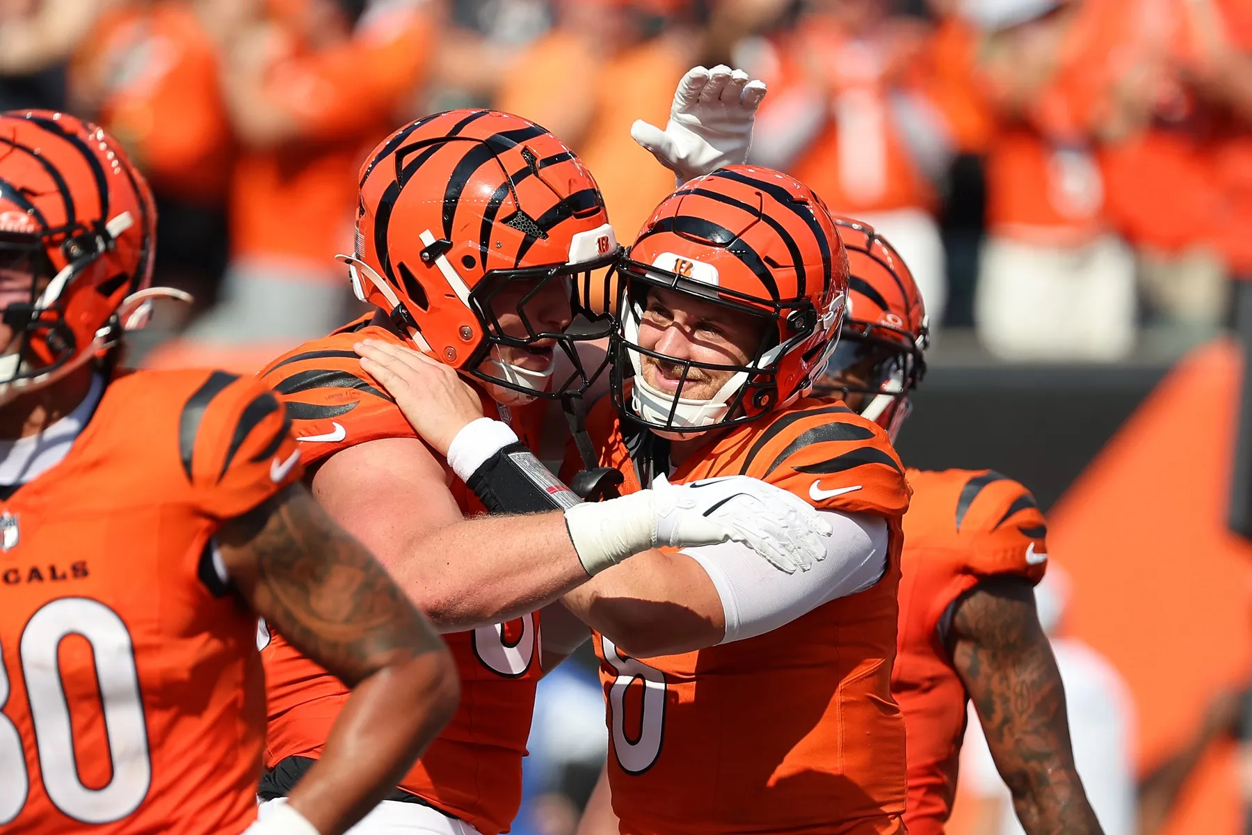 Bengals Shuffle Roster Ahead of Week 12 Matchup vs. Patriots