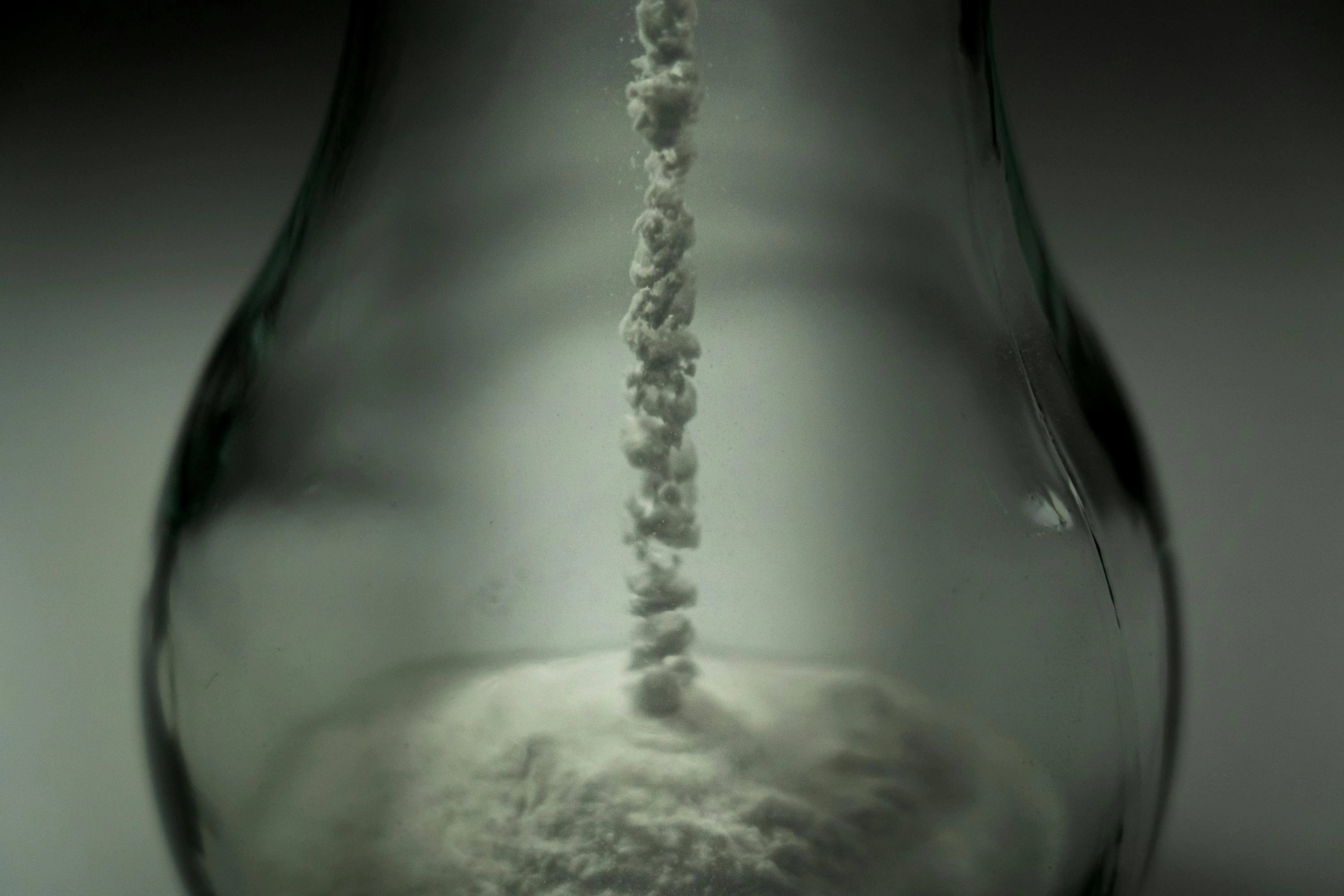 Castorly Stock on pexels