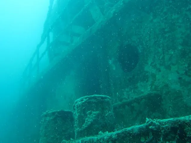 WT-shared on wikimedia