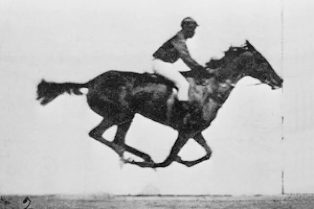 Eadweard Muybridge on Wikimedia Commons