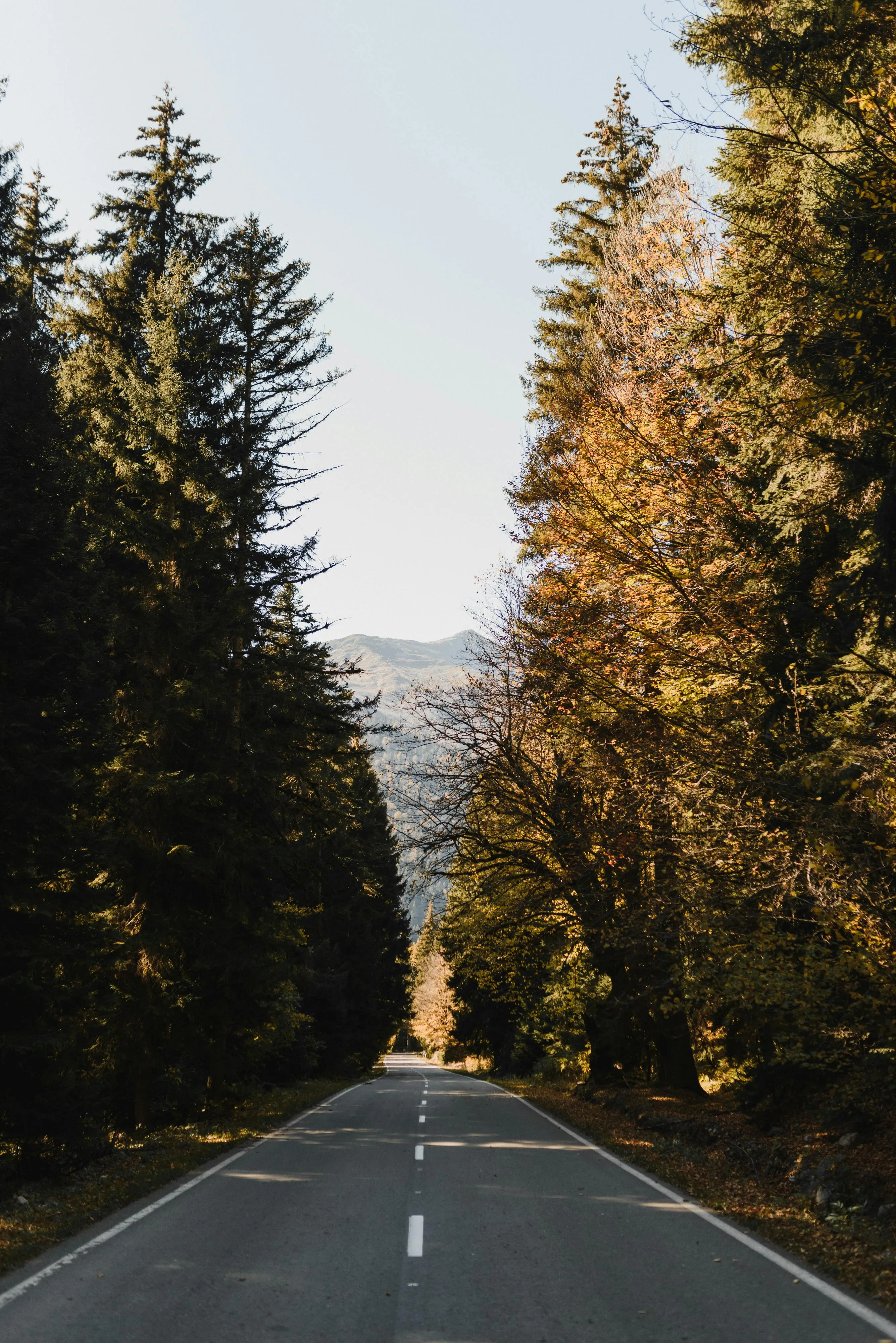 Arina Krasnikova on pexels