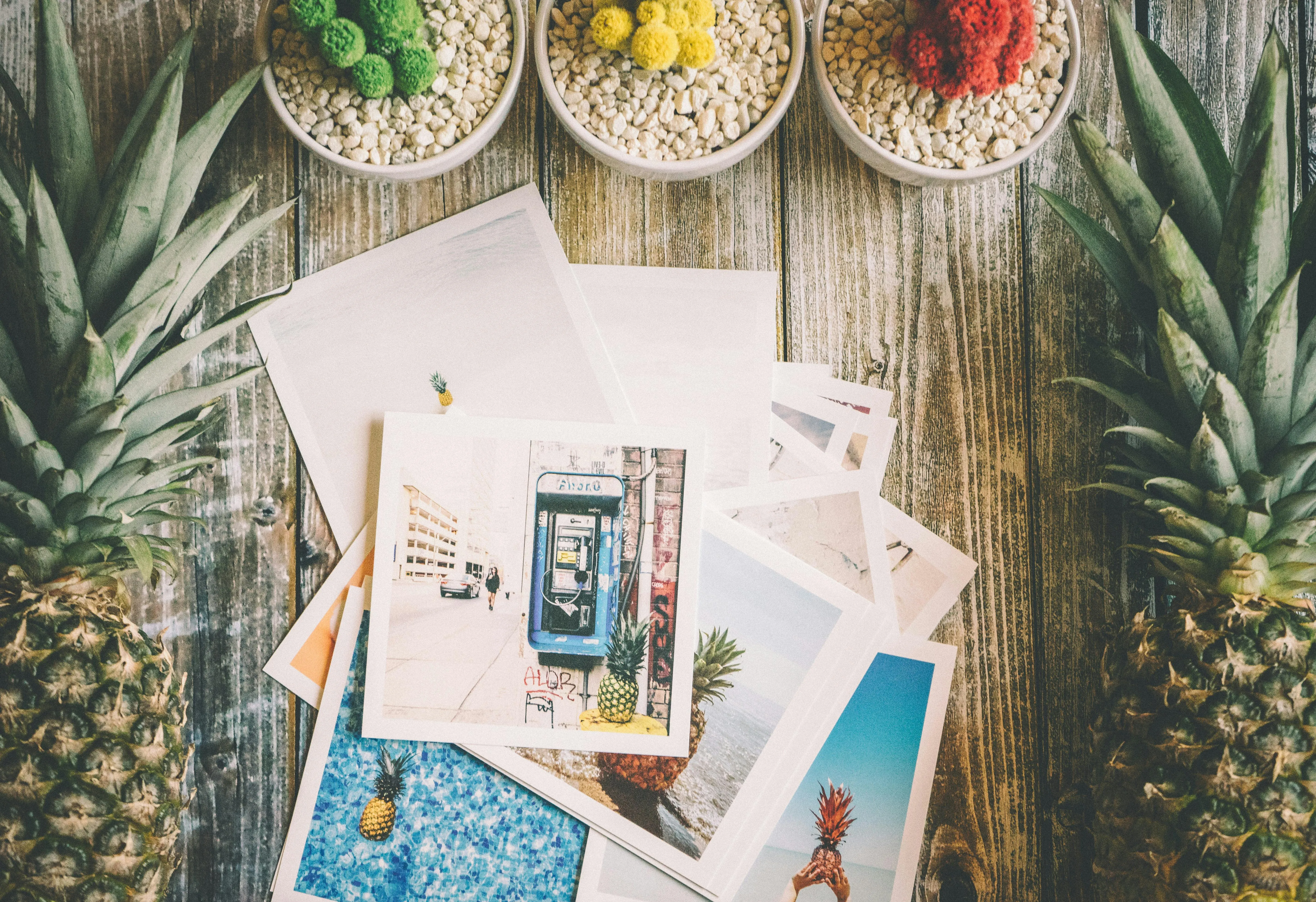 Pineapple Supply Co. on Pexels