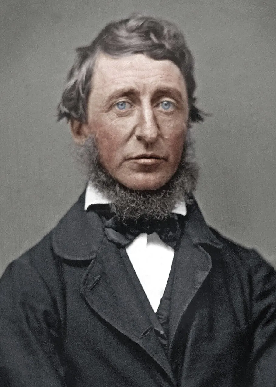 Daniel Hass on Wikimedia Commons