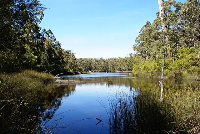 Babbrook on Wikimedia Commons