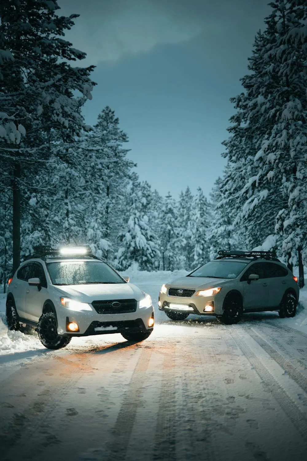 20 Forgotten Car Accessories People Used to Deal with Snow and Ice