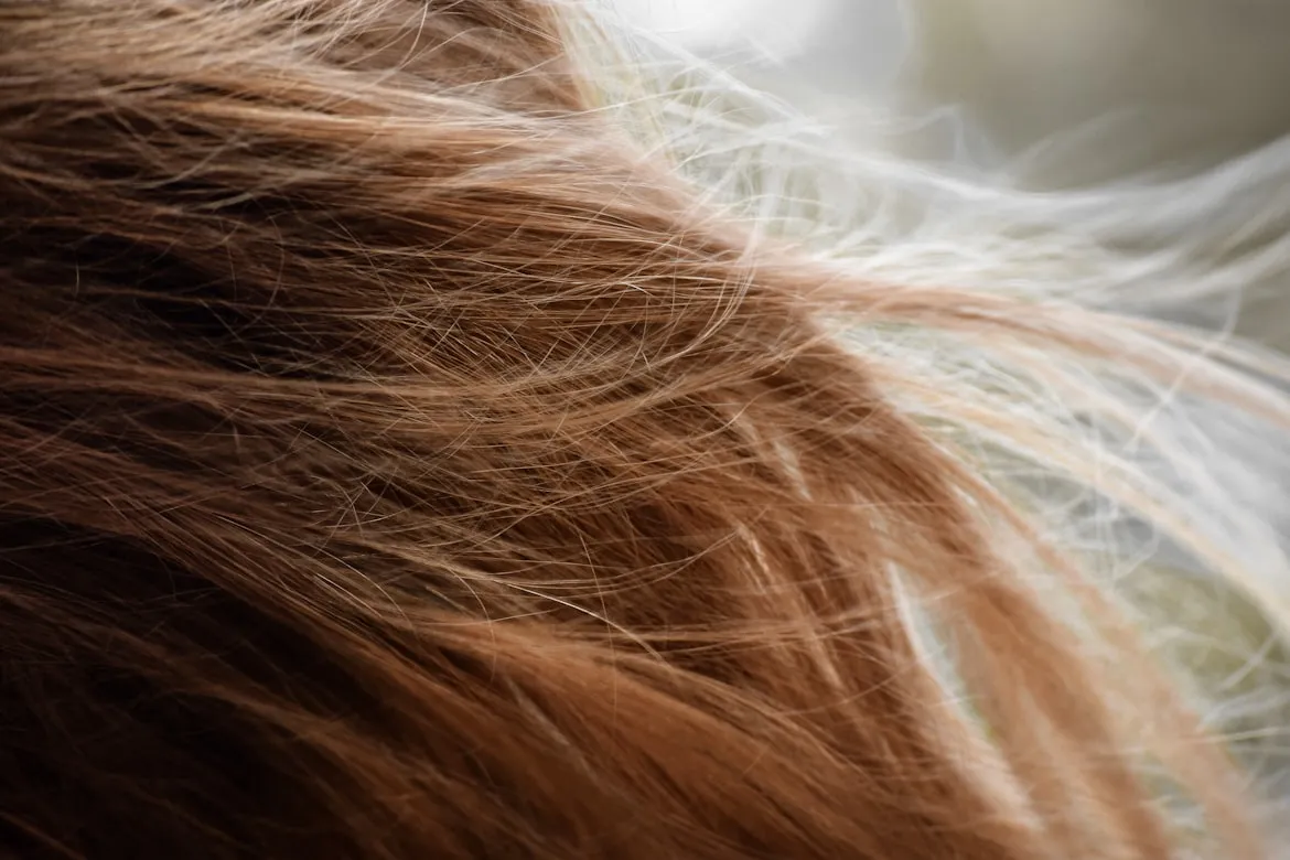 15 Hairstyles That Defined the '70s
