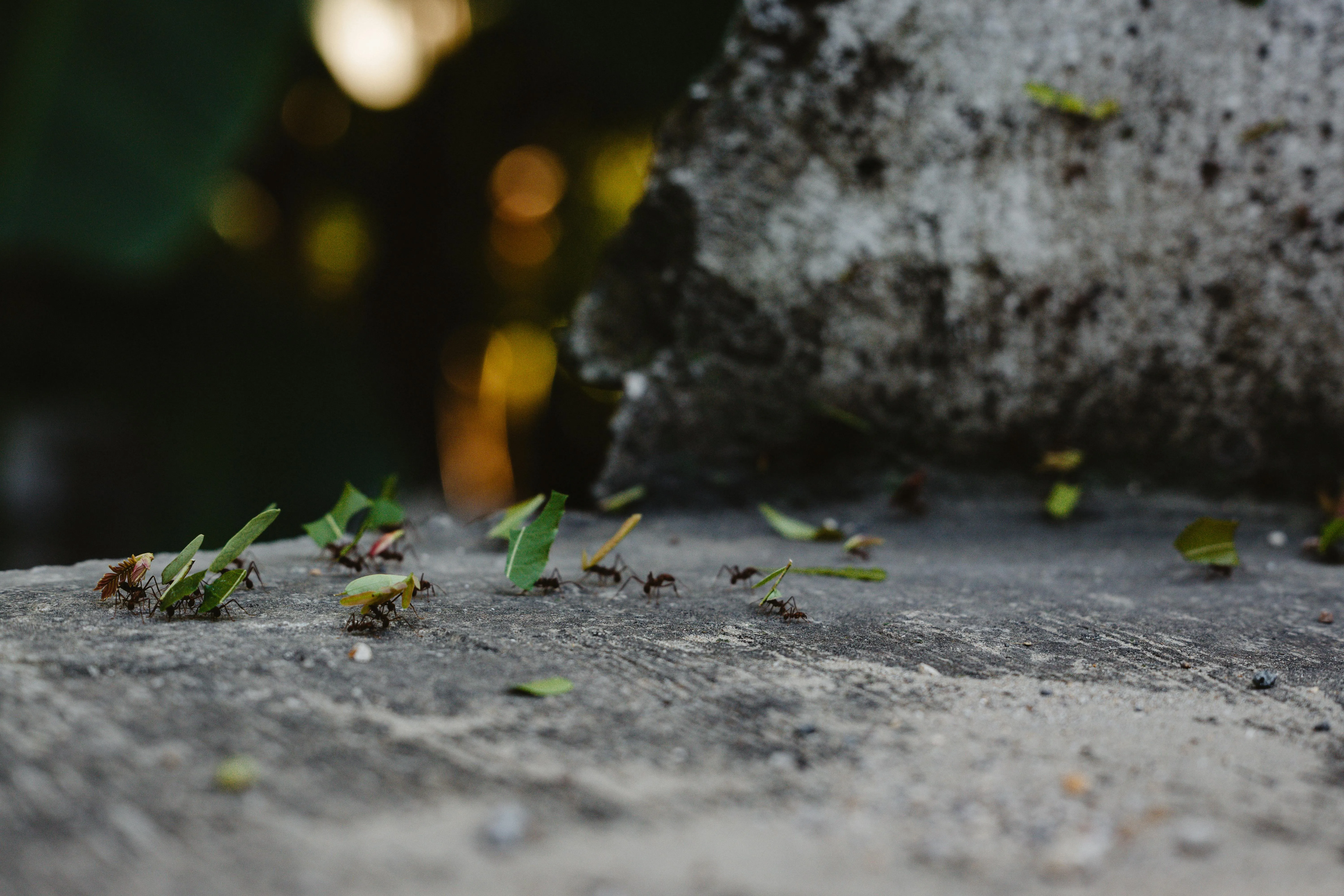 Sebastian Luna on Pexels