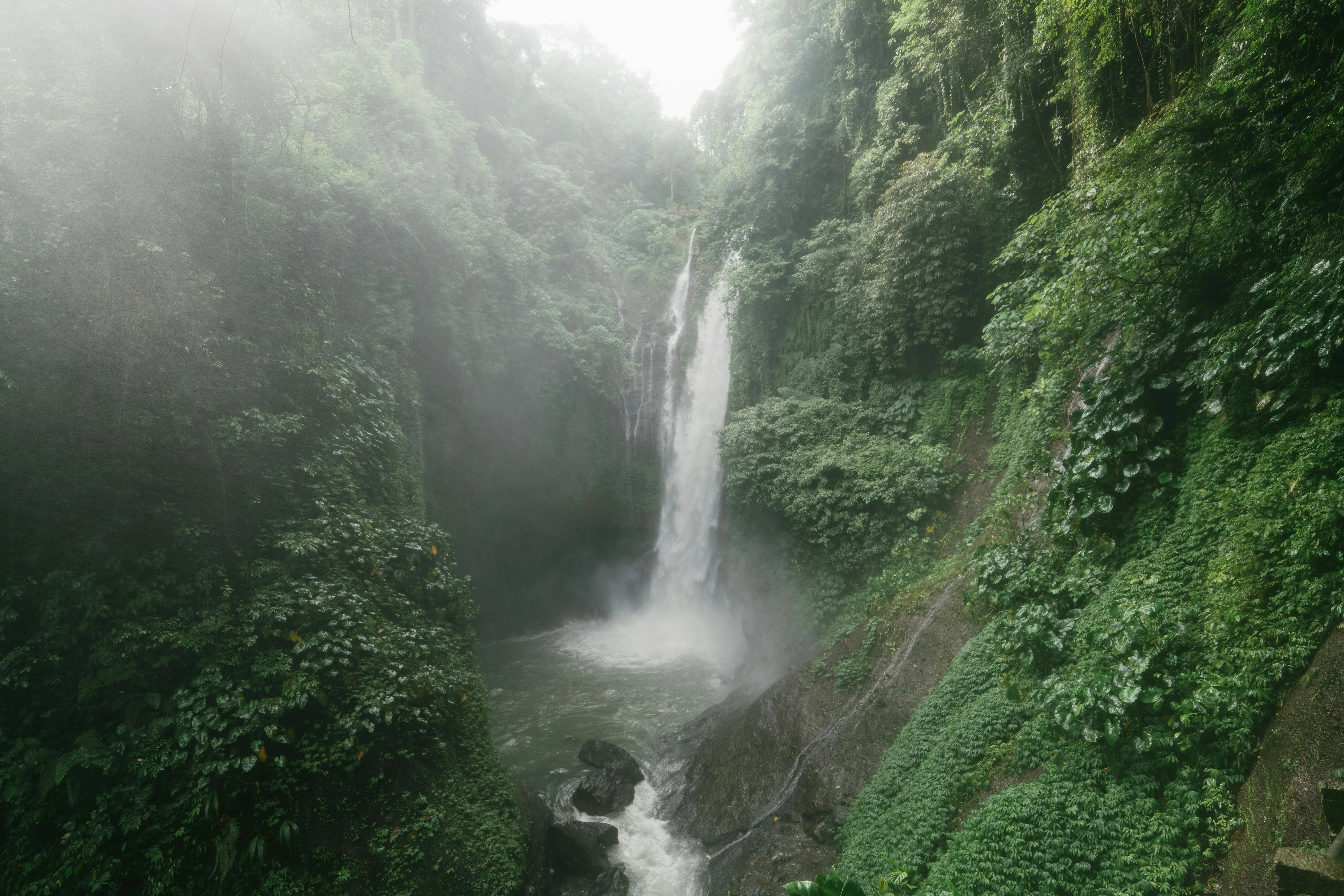 20 Natural Habitats That Support Diverse Species