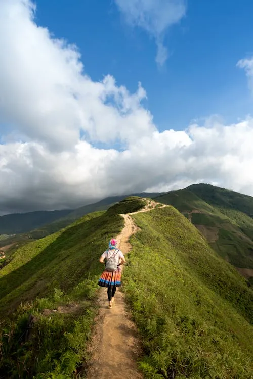 Quang Nguyen Vinh on Pexels