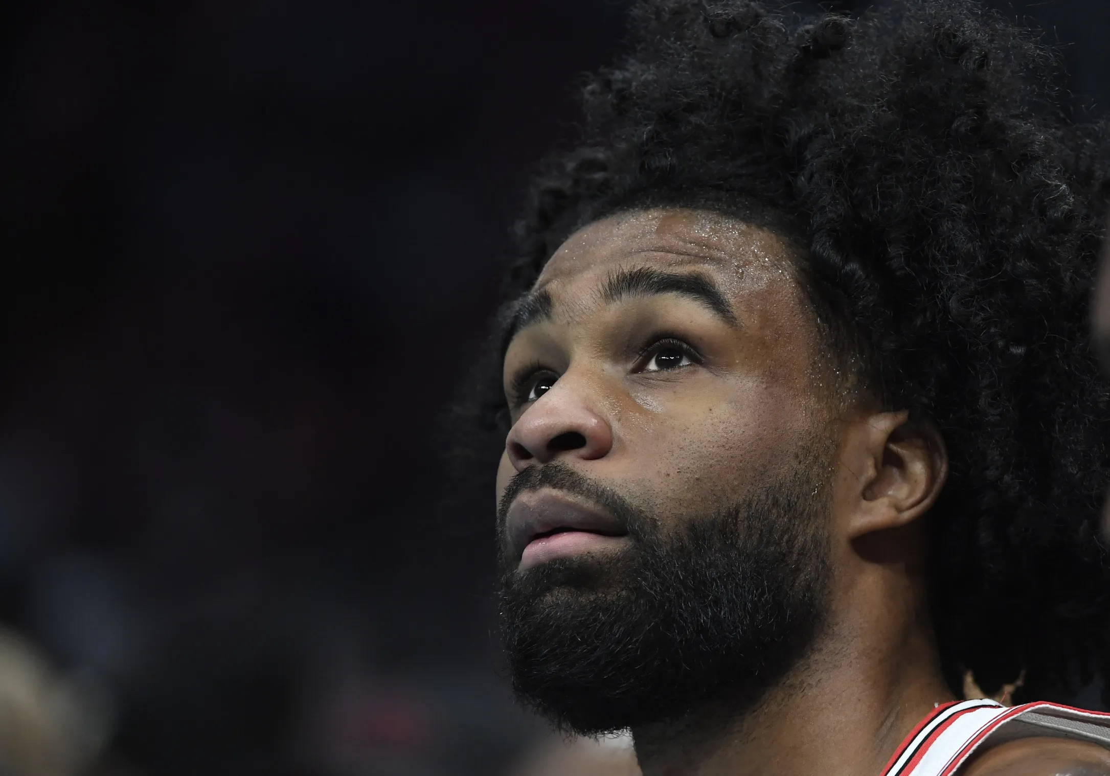 Coby White Reaches 1,000 Career Threes as Bulls Fall to Hornets