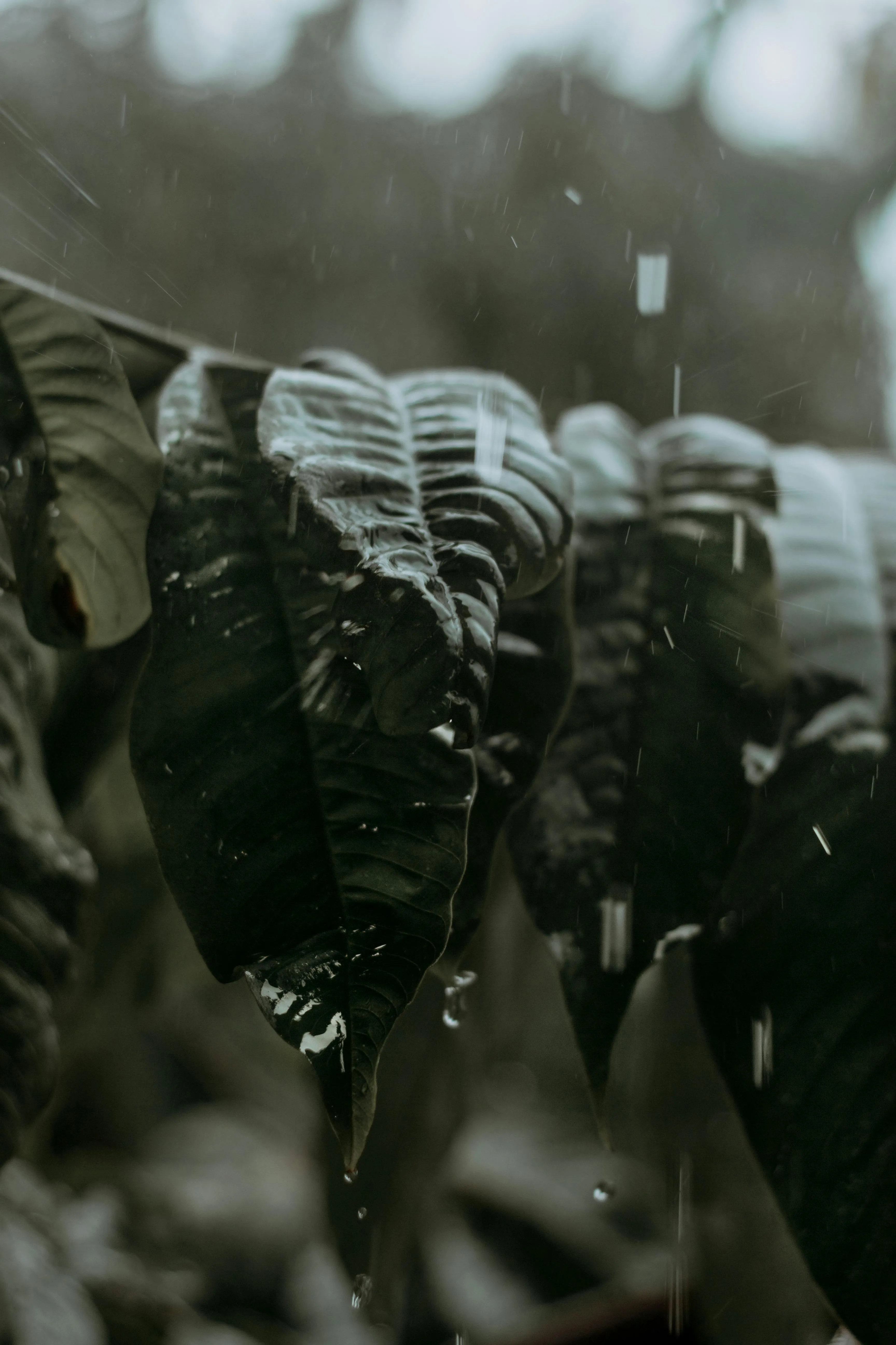 Yan Miranda on pexels