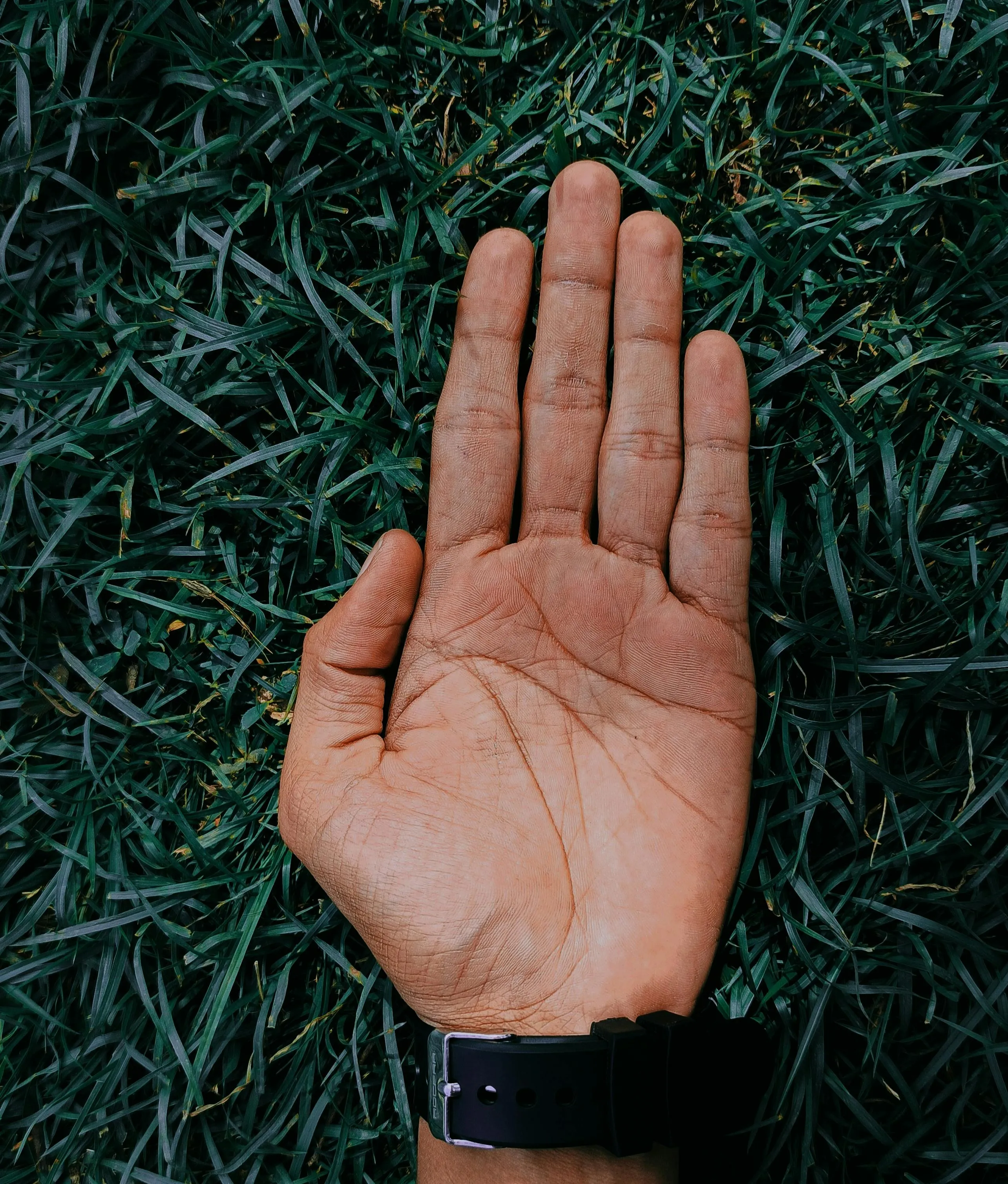 Devansh Sharma on Pexels