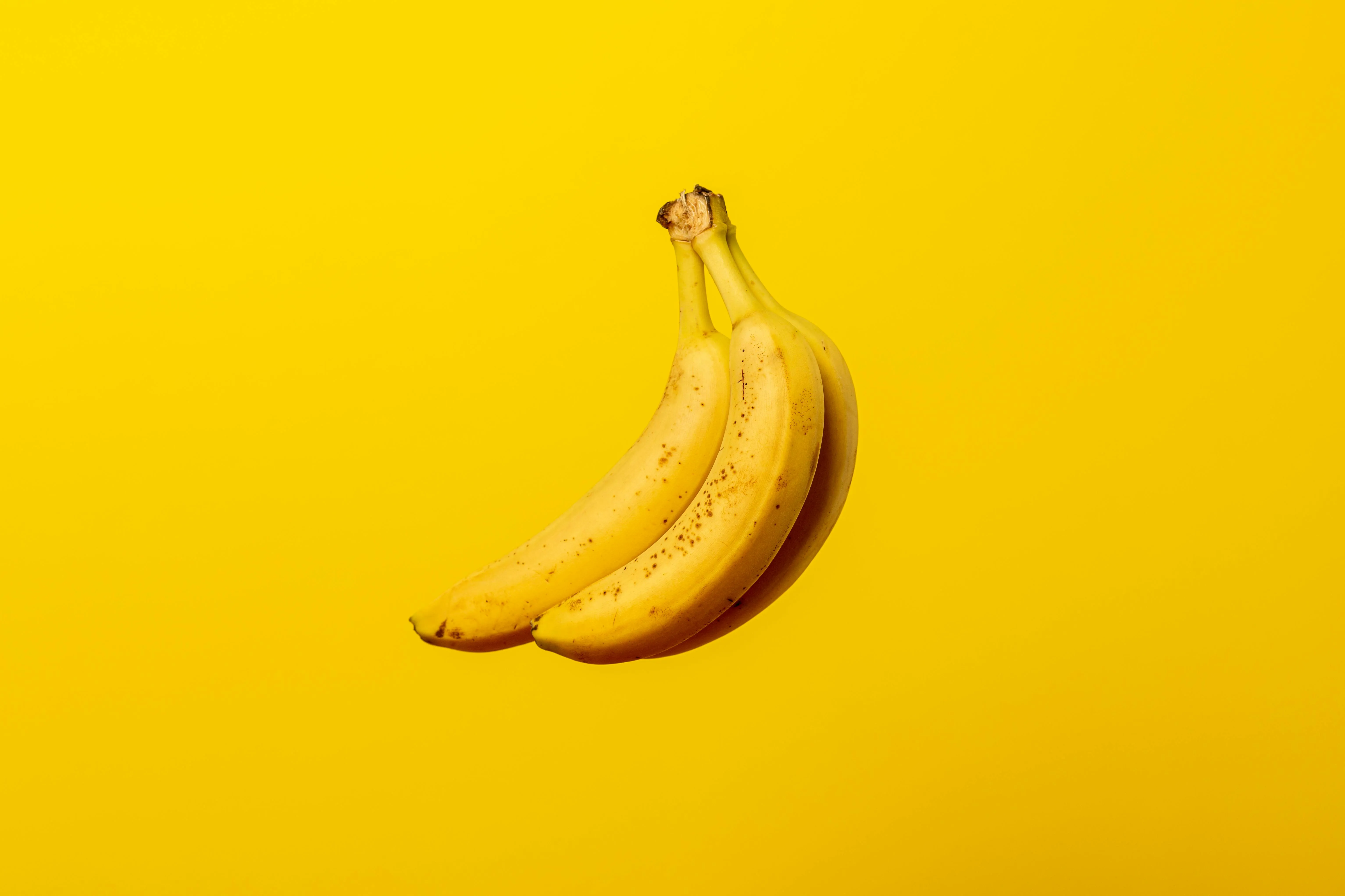  Aleksandar Pasaric on Pexels