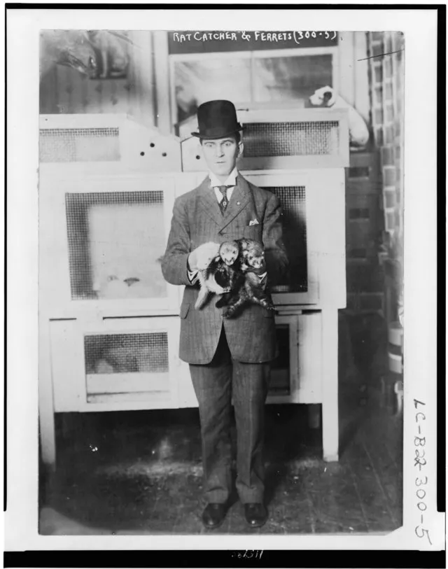 George Grantham Bain Collection on WIkimedia
