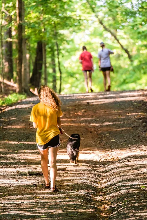 Carissa Rogers on Pexels