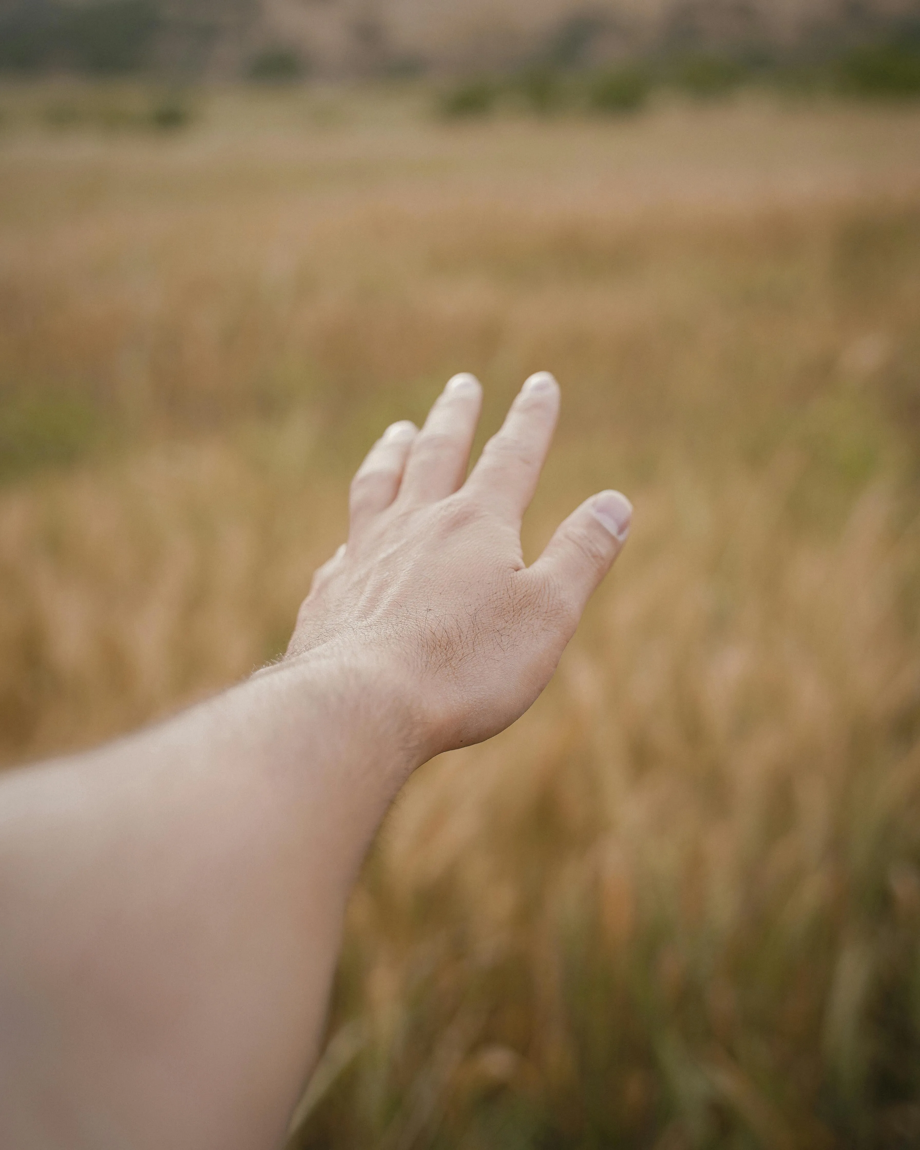 Shakar Fazel on Pexels