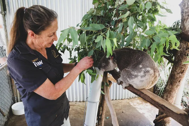 International Fund for Animal Welfare on Pexels