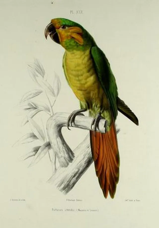 J. Davernes on Wikimedia