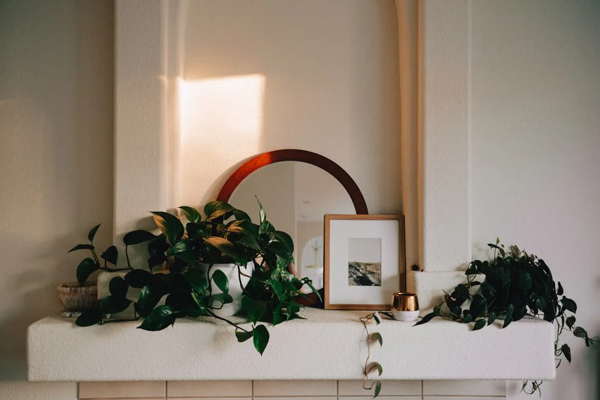 Ashe Walker on Unsplash