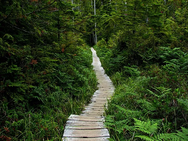 Olympic National Park on Wikimedia Commons