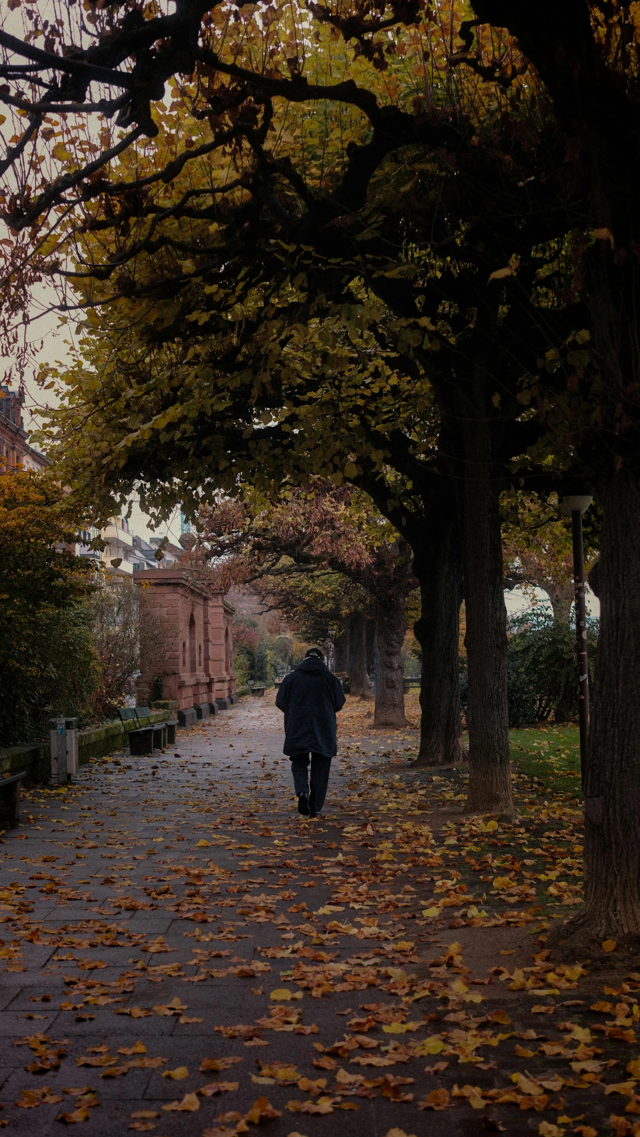 Mustafa El-Taie on Pexels