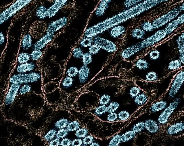 NIAID on Wikimedia Commons