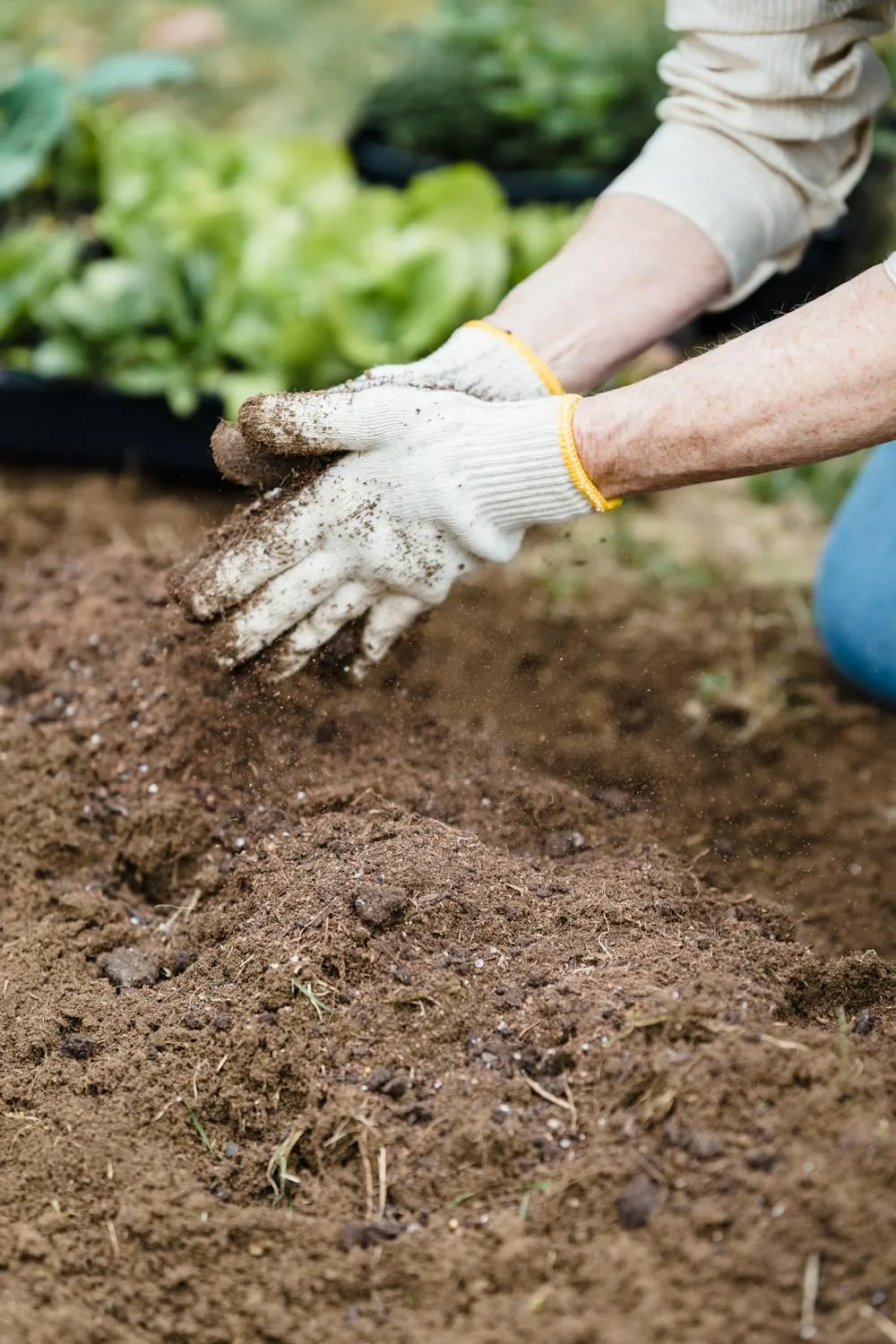 Greta Hoffman on Pexels