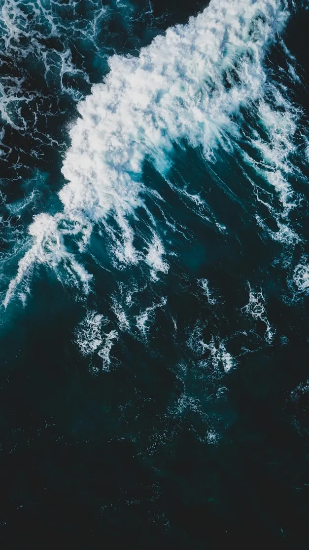Ivan Bandura from Unsplash