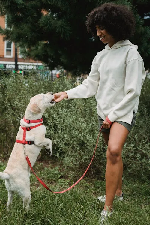 Samson Katt on Pexels