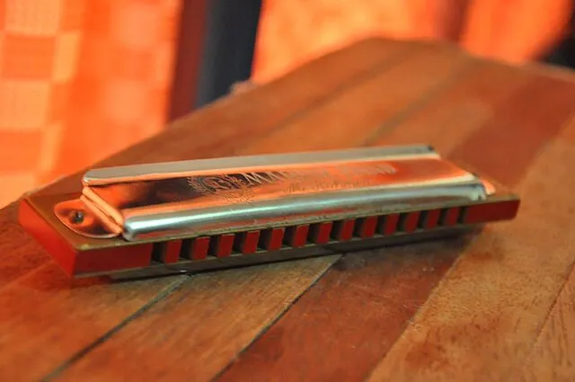 Gajarion27 on Wikimedia Commons