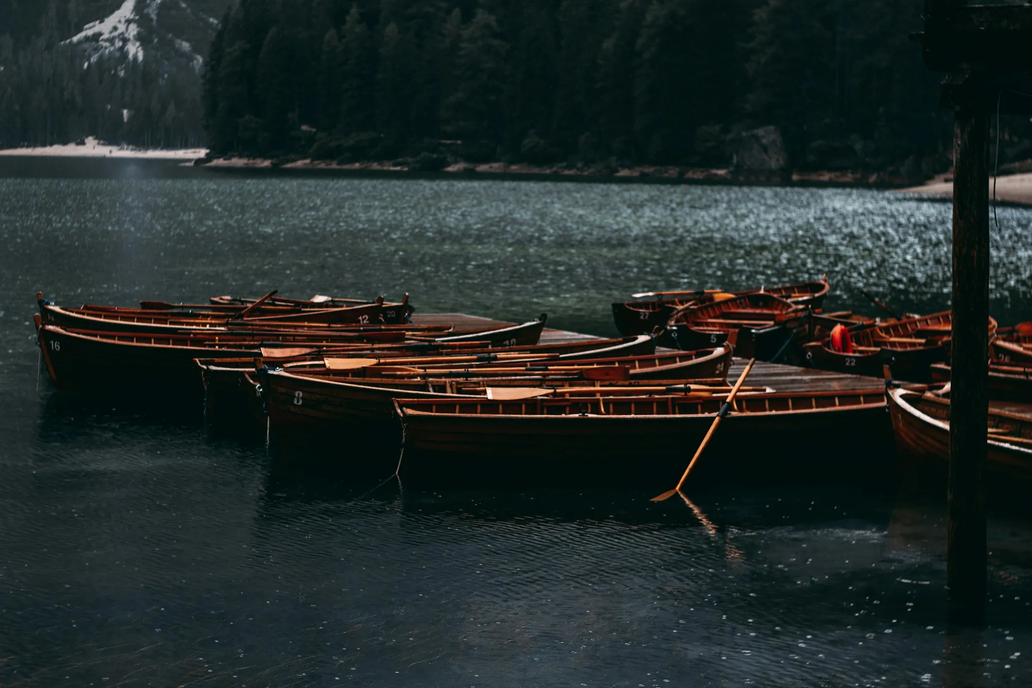 Alexander Grigoryev on Unsplash