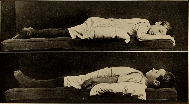 Internet Archive Book Images on Wikicommons