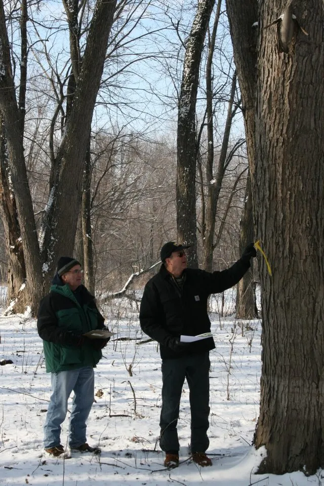 USFWSmidwest on WikiCommons