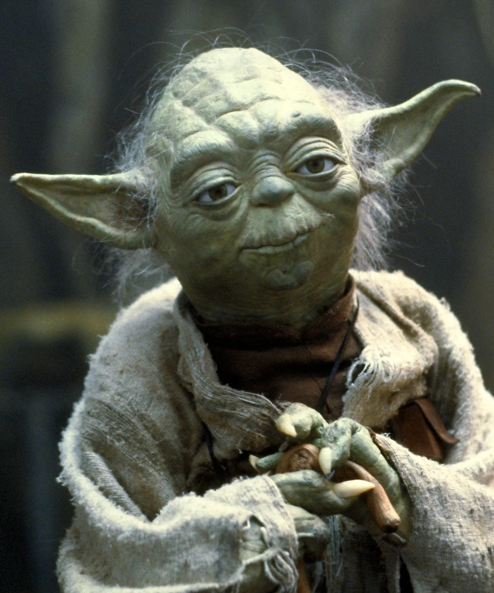Image from Wookieepedia - Fandom 